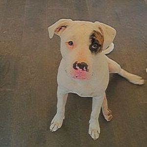 Meet your Posher, Lilly